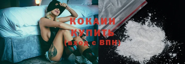 трава Белокуриха