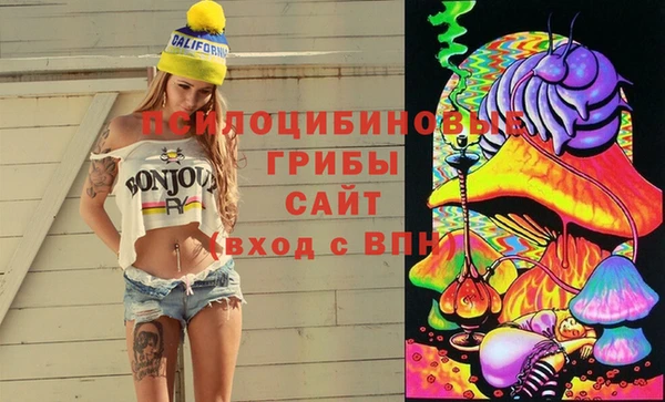 трава Белокуриха