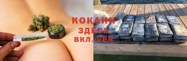 трава Белокуриха