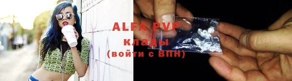 трава Белокуриха