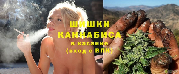 трава Белокуриха